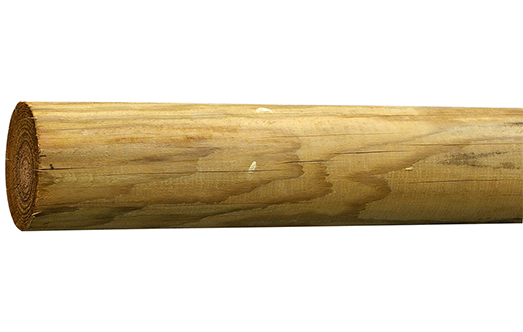 Palisaden